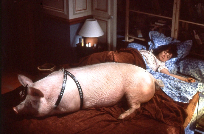 Jacques Gastineau - animatronic pig and josiane balasko in the movie Ma vie est un enfer 1991